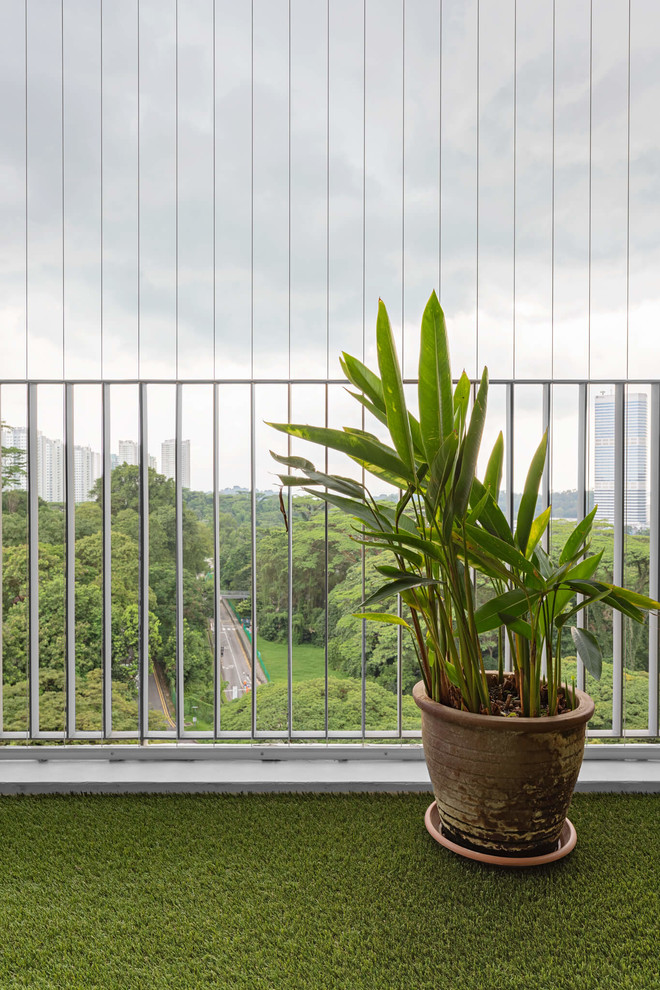 Design ideas for a modern garden in Singapore.