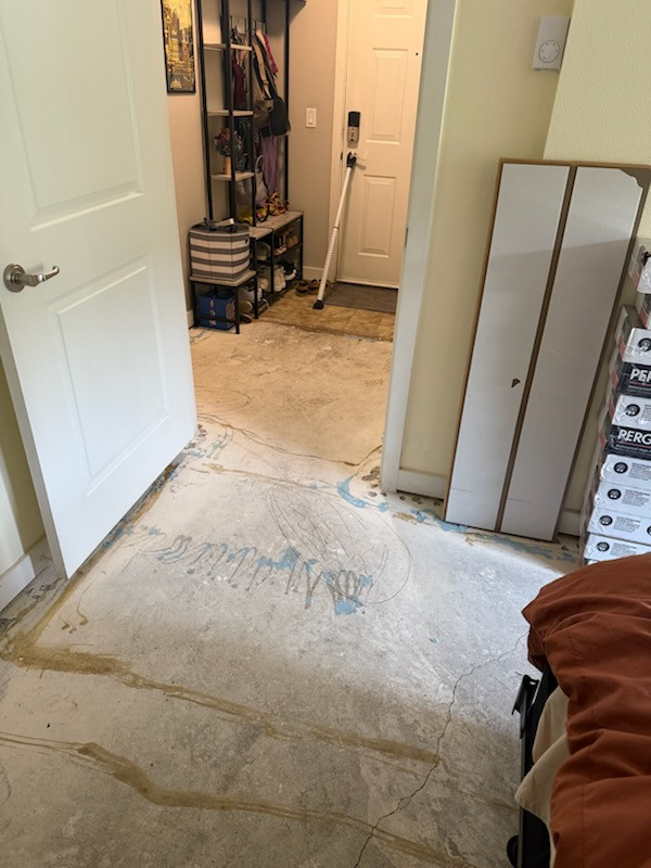 Concrete Subfloor Leveling & Prep