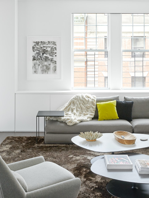 Upper West Side Residence trendy-dagligstue