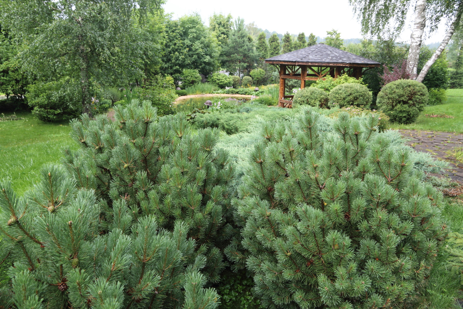 Загородный клуб