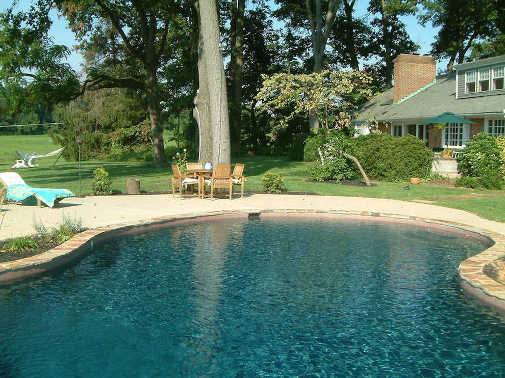 Inspiration for a mid-sized backyard stone and custom-shaped lap pool remodel in Baltimore