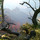 terrie_martindale21