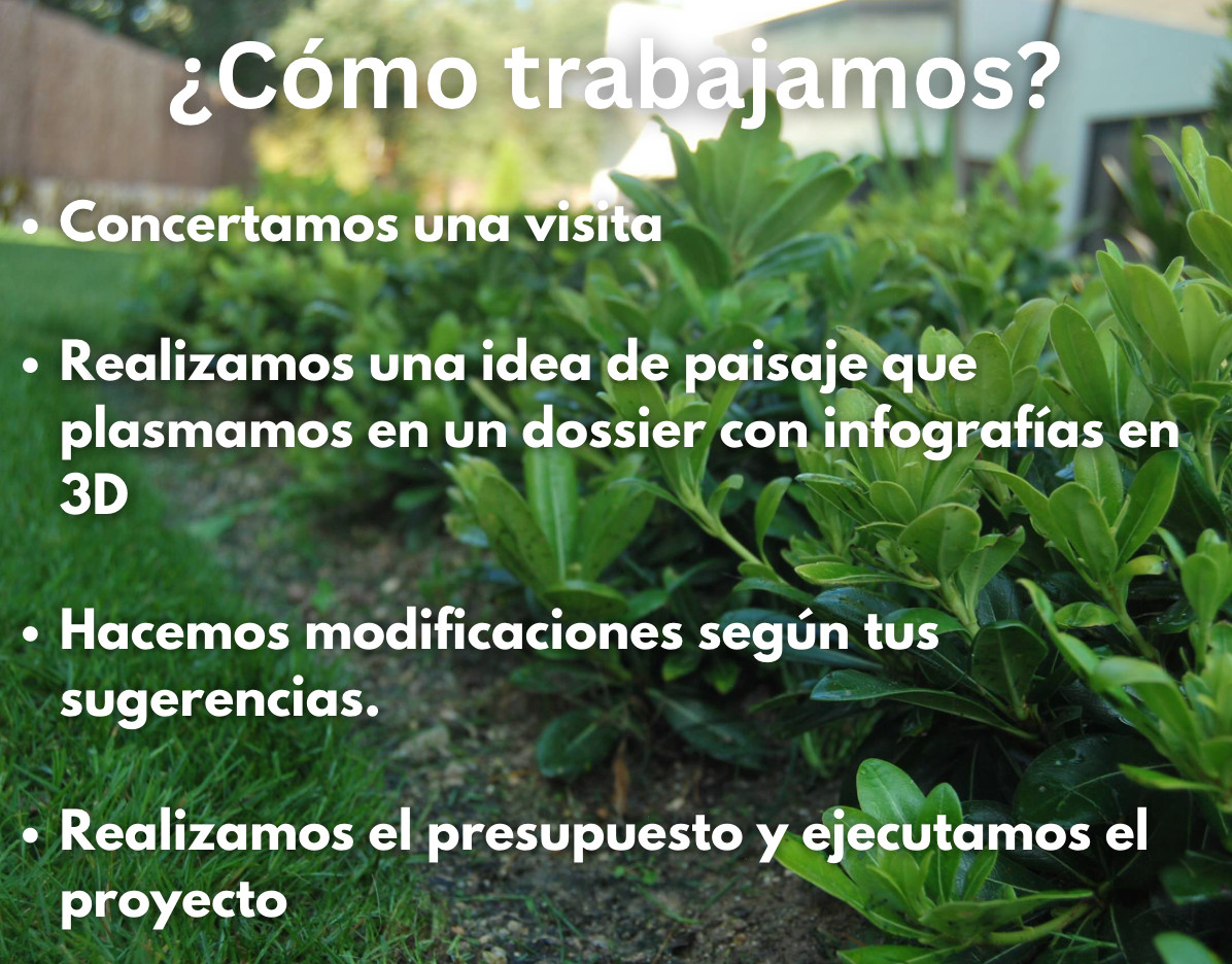 ¿Cómo trabajamos? | Precios