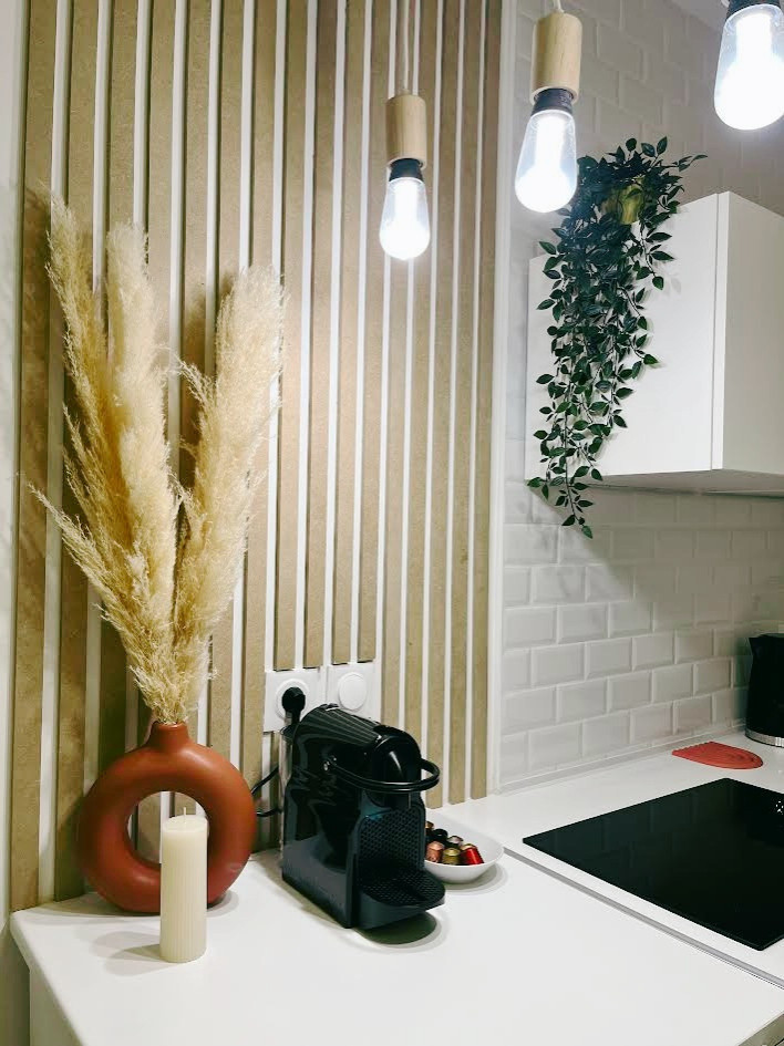 Rénovation d'un studio Parisien de 14m2
