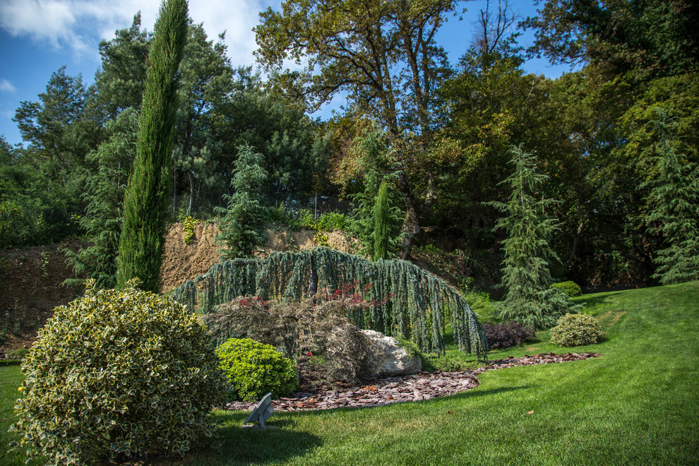 Ландшафтный Дизайн Олимпийский Сочи