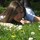 caroline_estephan