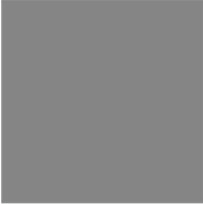 smoke gray