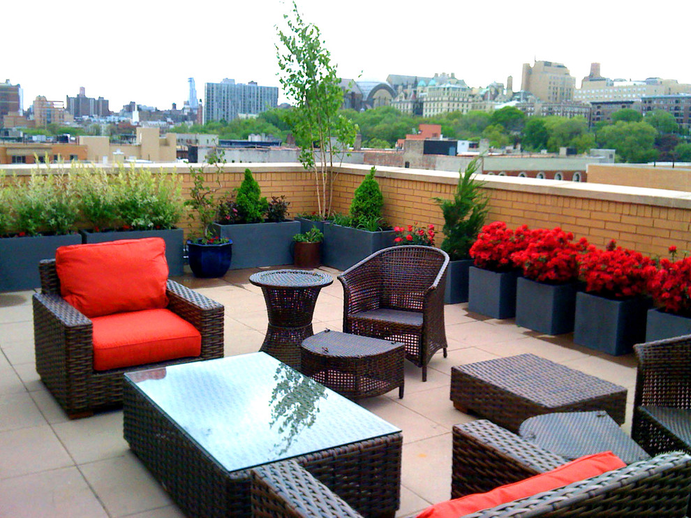 Design ideas for a large contemporary rooftop deck in New York with a container garden.