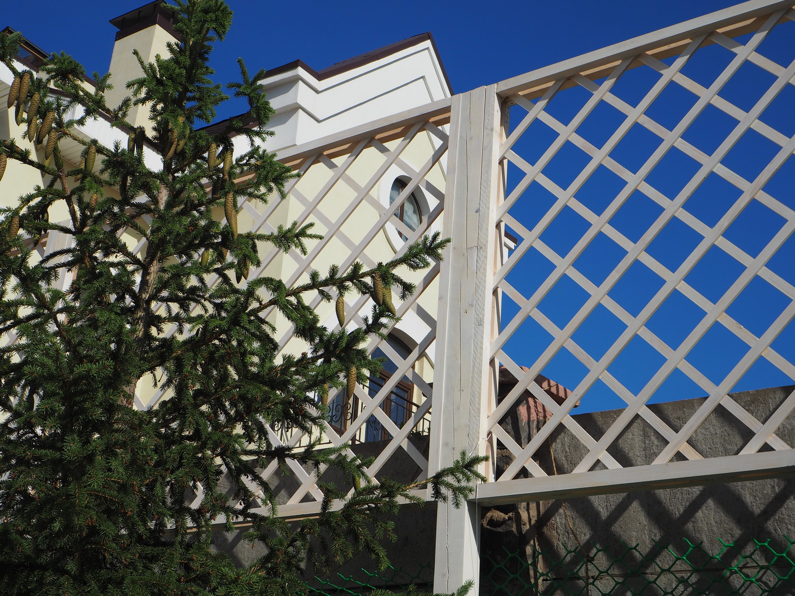 Натуральное дерево в саду