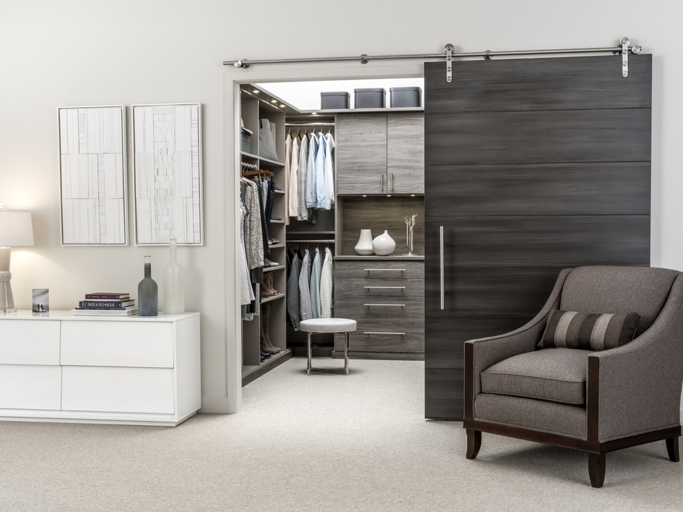 Inspiration for a large contemporary gender-neutral walk-in wardrobe in Chicago with flat-panel cabinets, grey cabinets, carpet and grey floor.