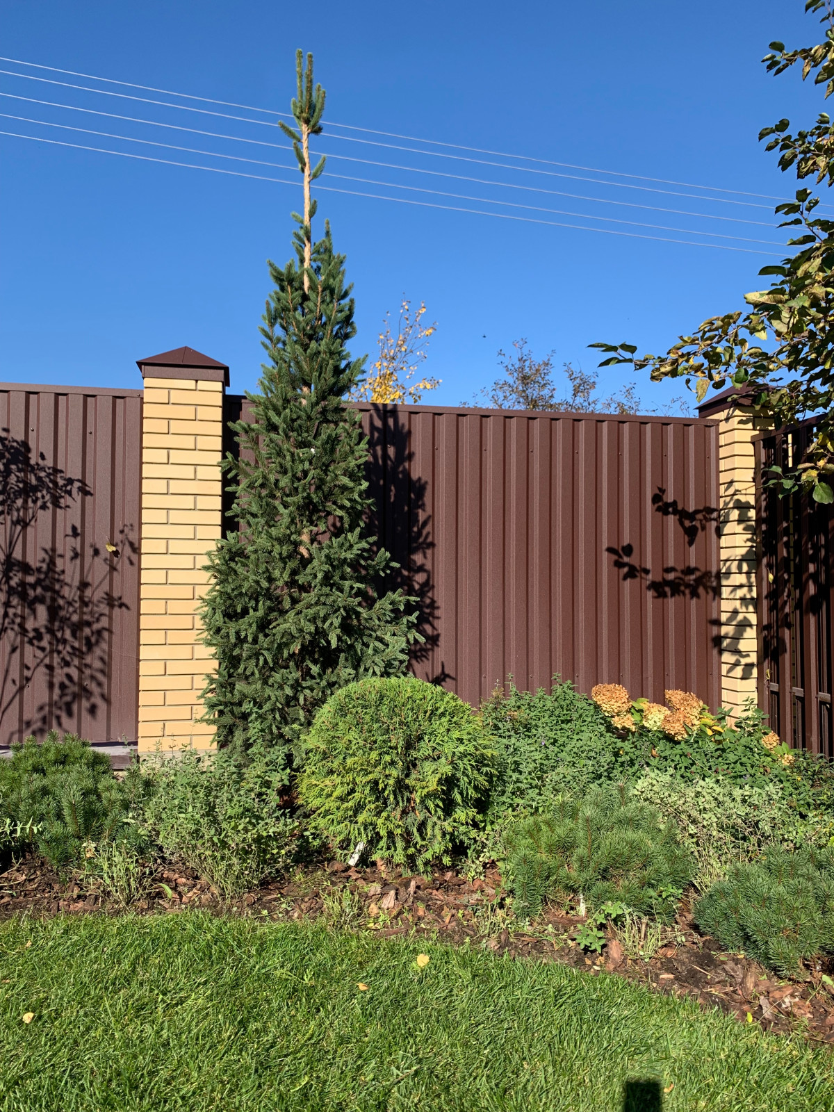 Сад Светлый Красная Пахра