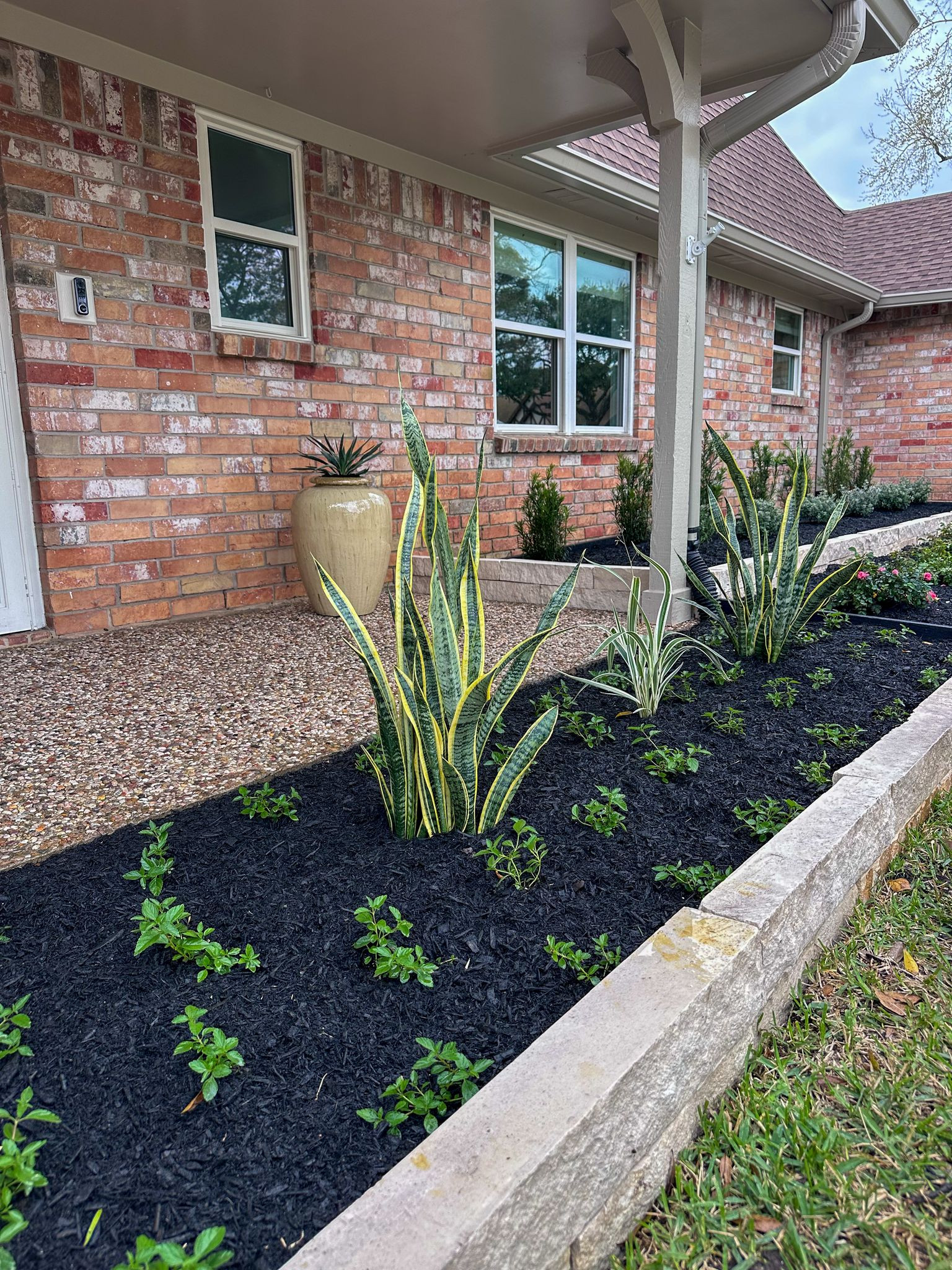Front yard makeover at Durban Dr!
