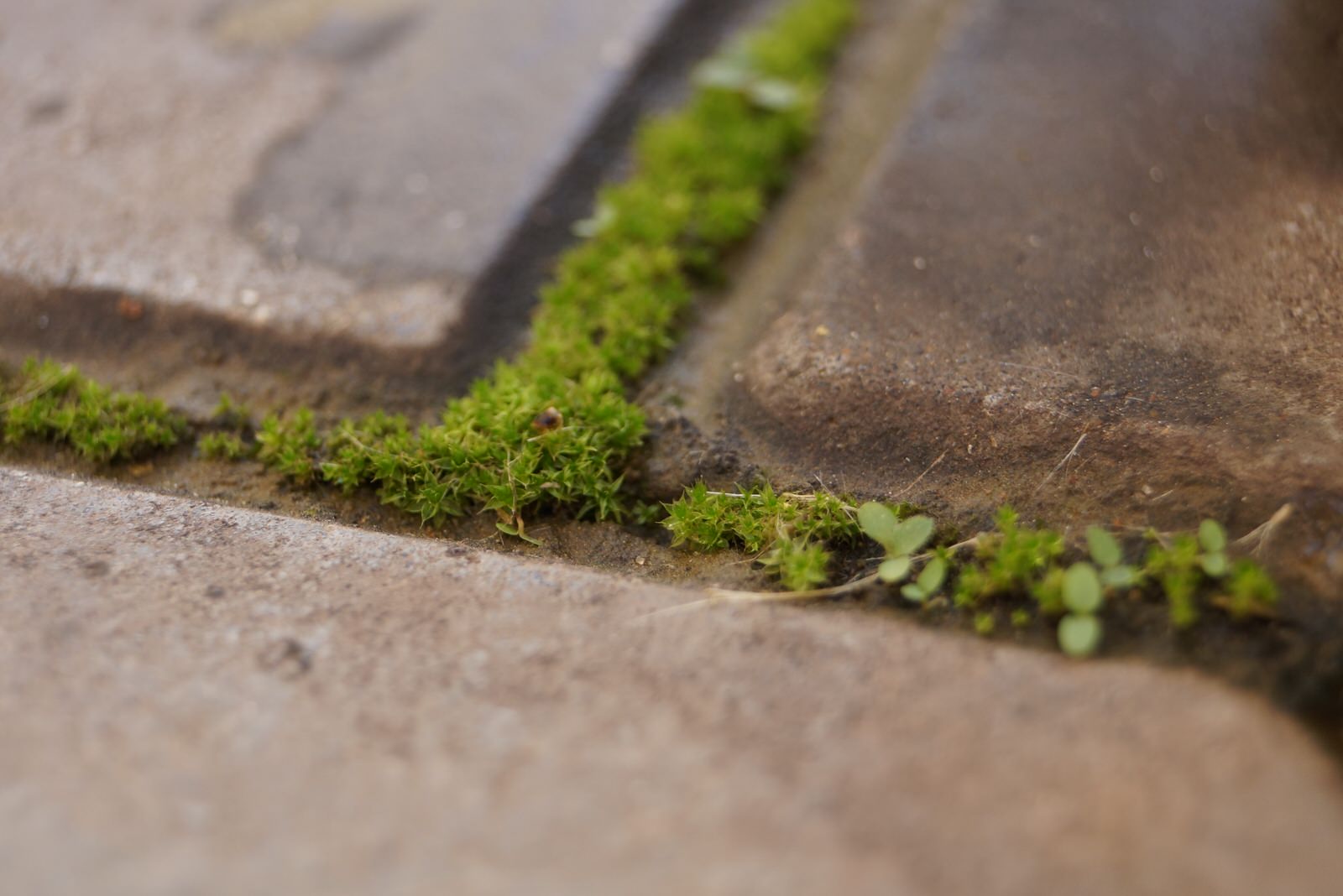 Дом в восточно-европейском стиле