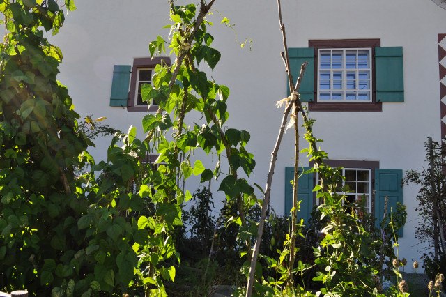 Hausgarten an einem Geschichtstr&auml;chtigen Ort garden