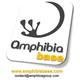 Amphibia BASE
