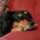 renee_borgardt