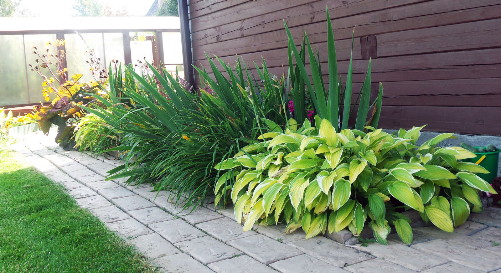 Цветники и композиции