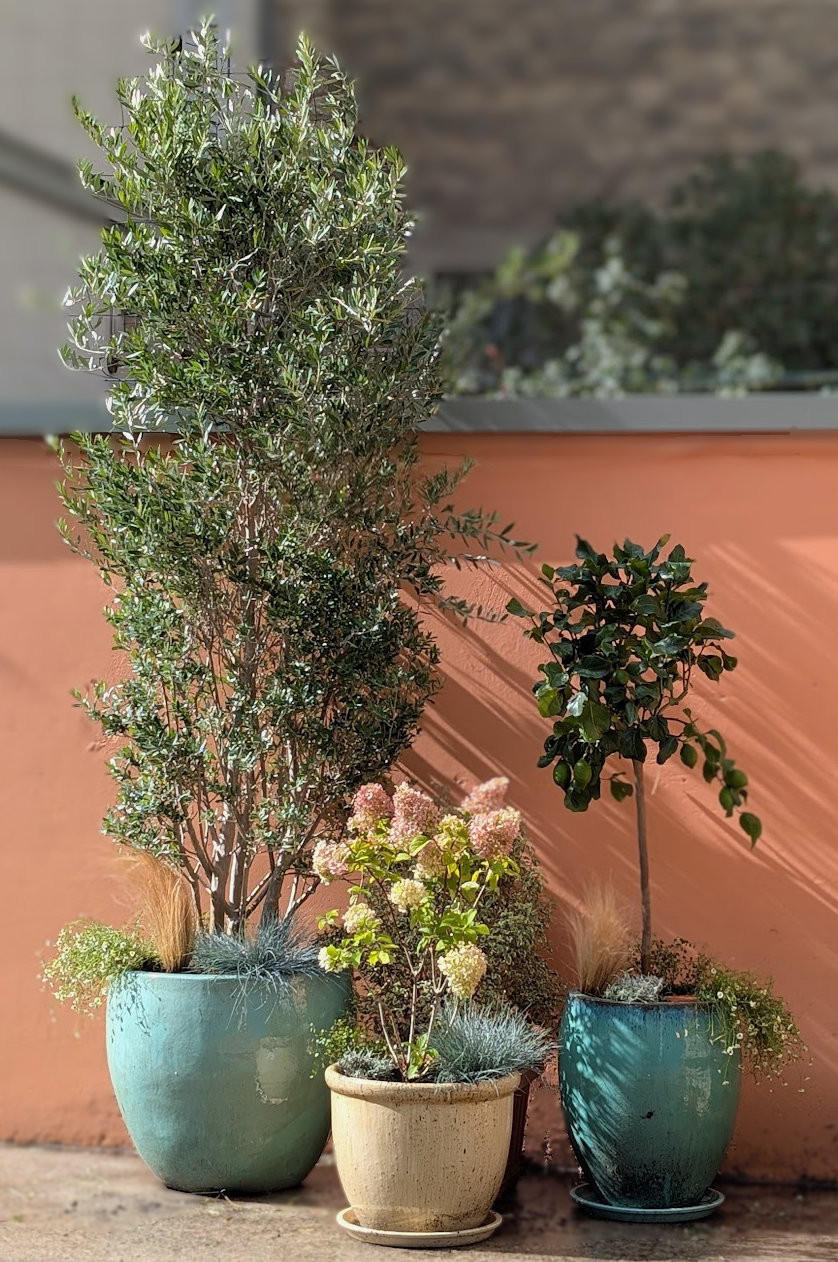 Une belle ambiance dès la plantation