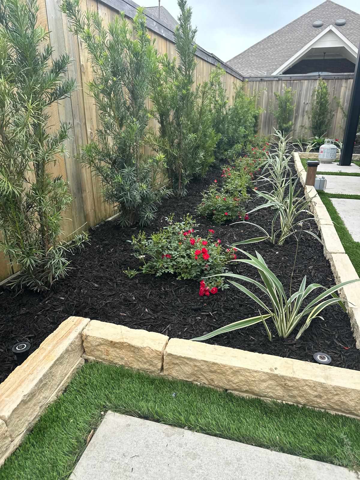 Backyard paradise in Bridgeland