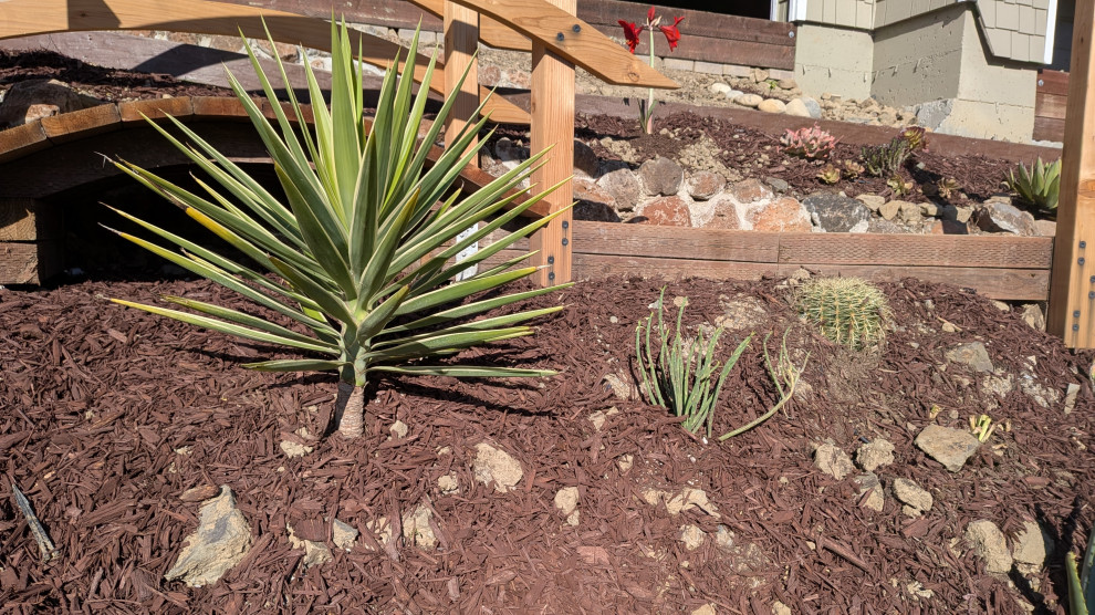 Japanese-Style Garden on a Steep Slope, San Francisco Bay Area