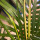 Last commented by Prairie Palms