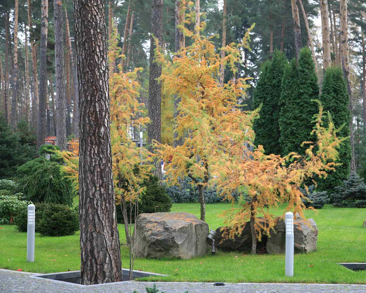 Ландшафтный сад в Горках 2