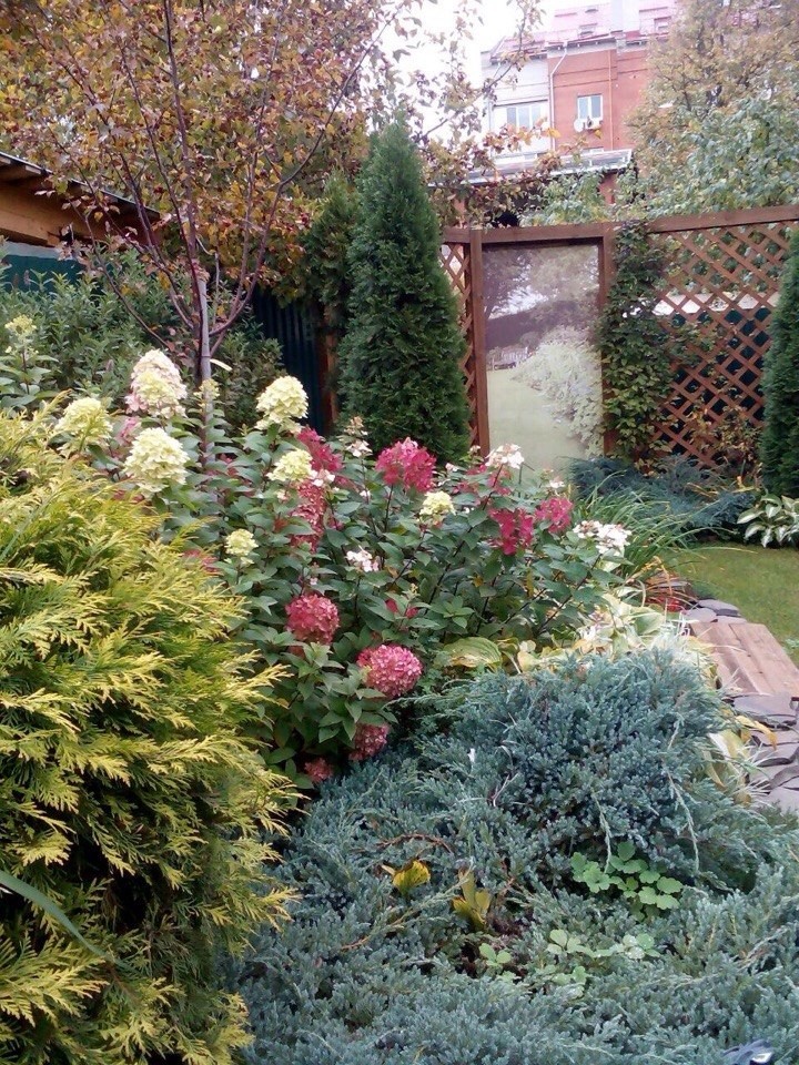 Озеленение, ландшафтный дизайн