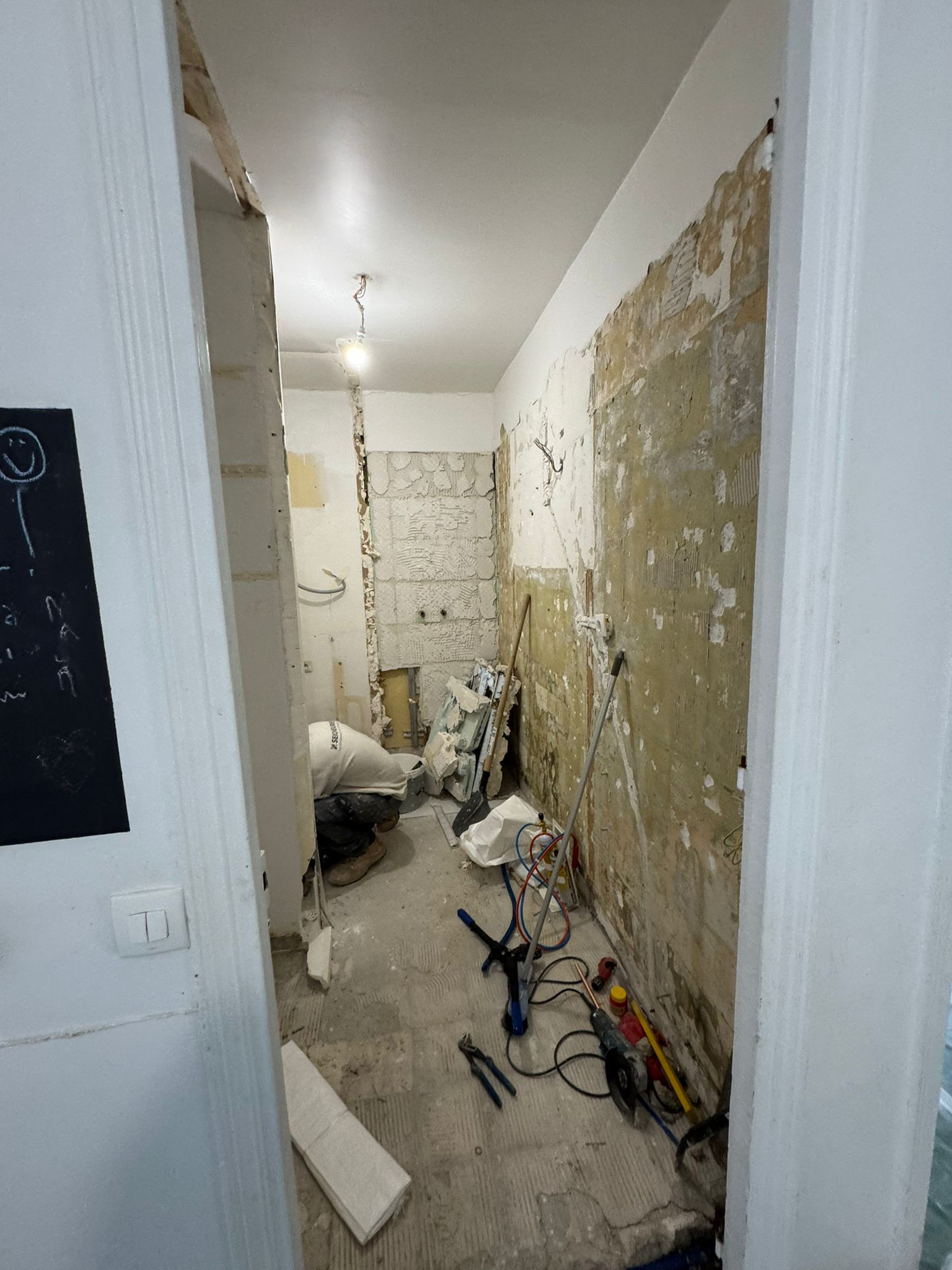 Projet Buttes Chaumont, rénovation d'un appartement de 60m2