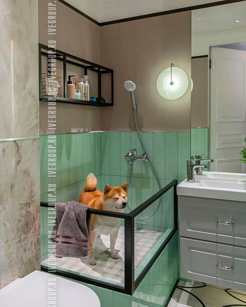 Душевая для собаки