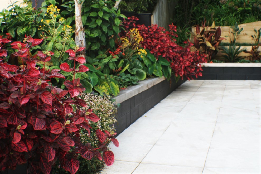 Design ideas for a small tropical front yard partial sun driveway for summer in Auckland with a retaining wall.