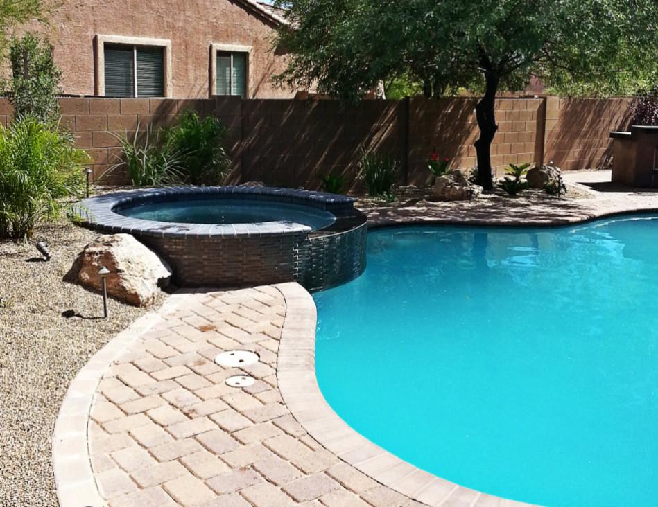 Large transitional backyard brick and custom-shaped hot tub photo in Phoenix
