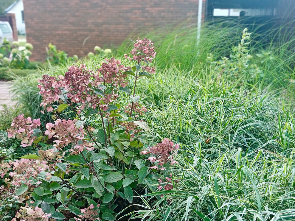 КП Тихие Зори