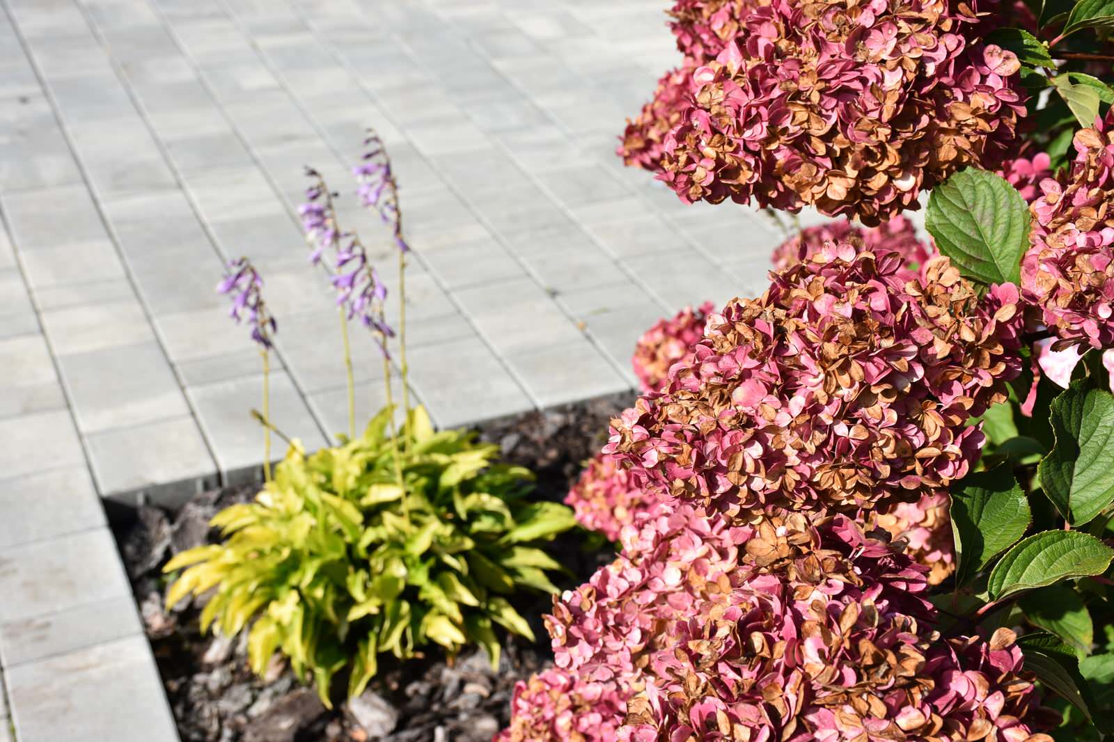 Игра в геометрию