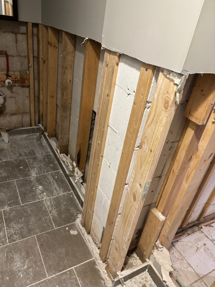 Water Remediation