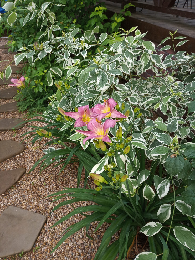 Сад в Рожновке