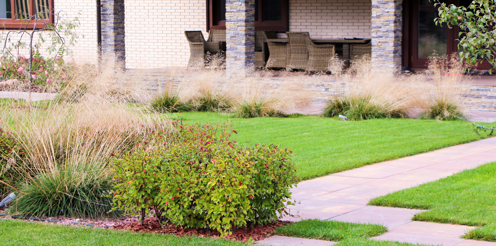 Петровское, 2018-2020 гг.