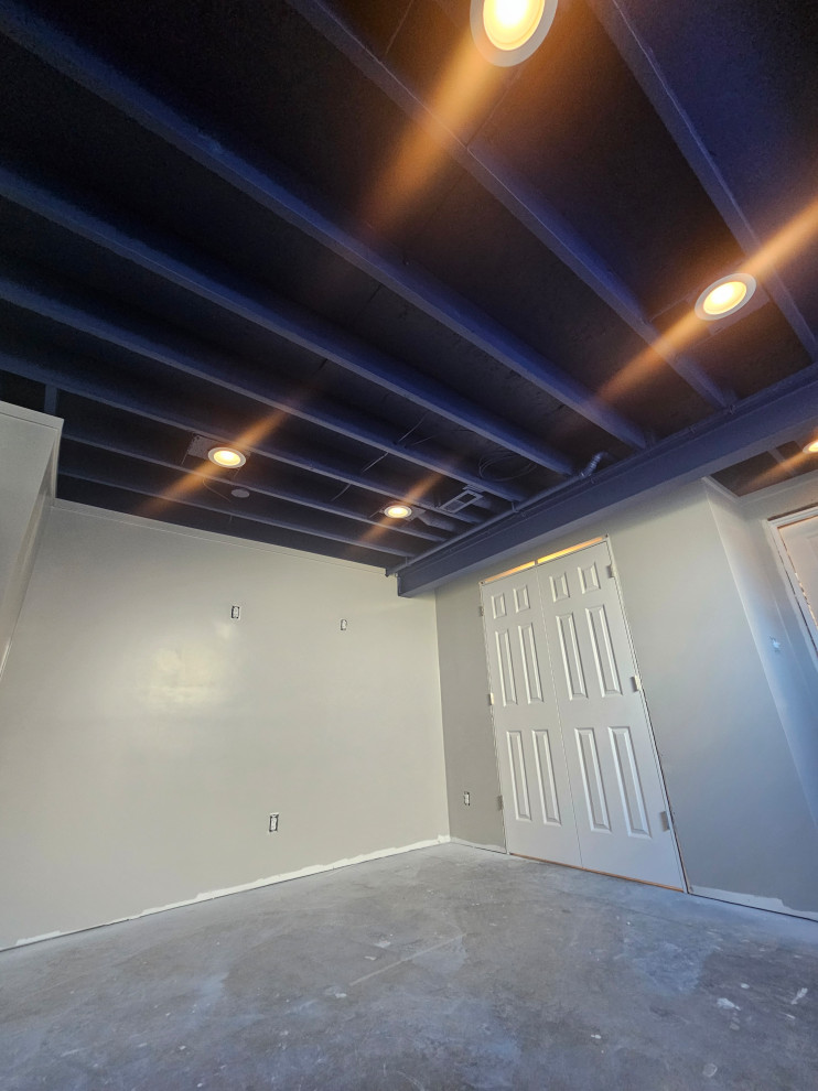 Basement Remodeling