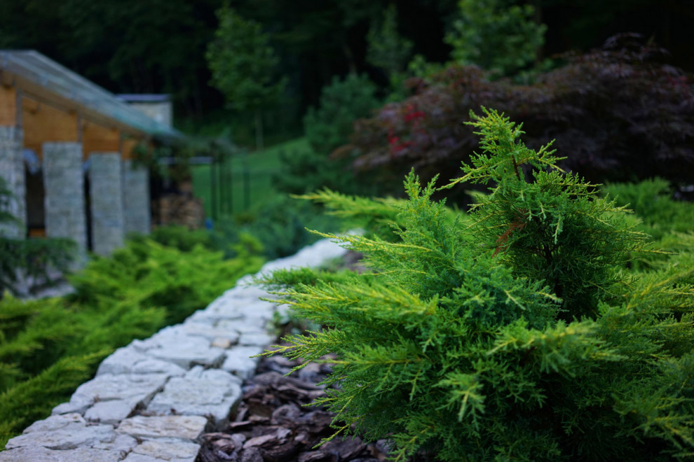 Лазурный Берег Сочи