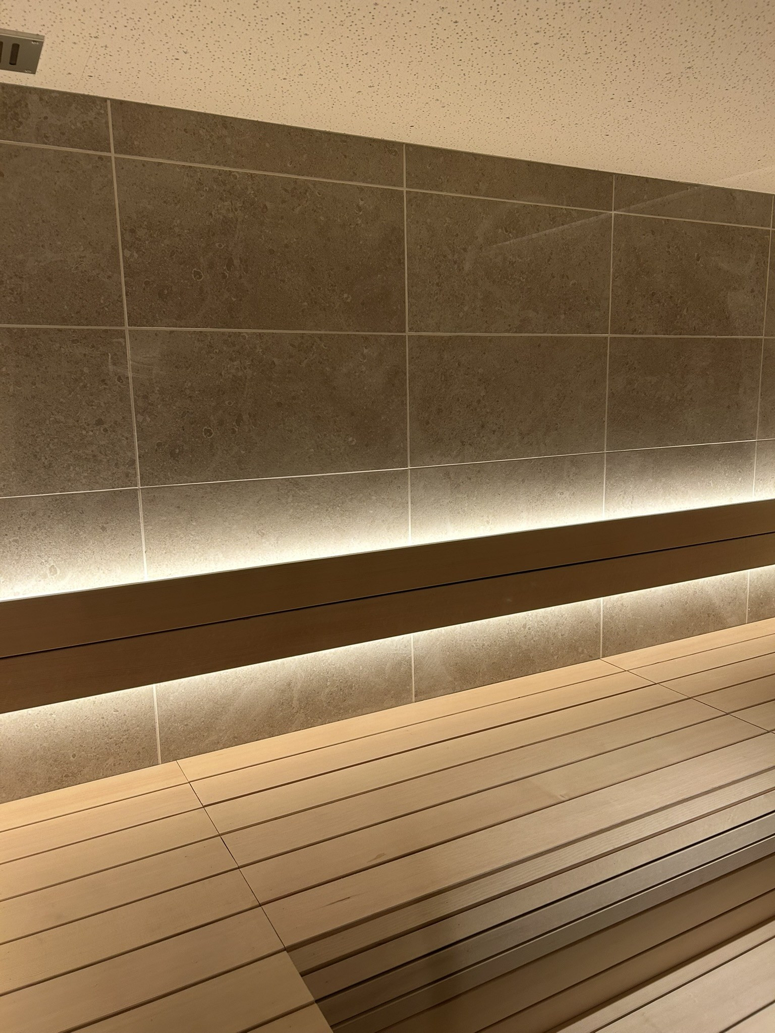 田園調布の家（大きなお風呂とサウナがある家）