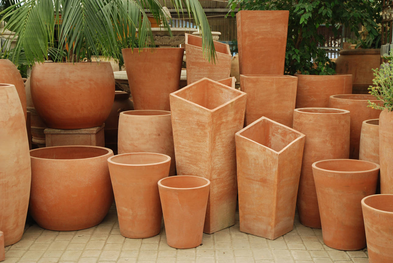 Kreative Gartengestaltung mit Pflanzkbeln und Topfpflanzen