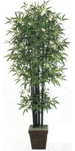7' Black Bamboo Tree