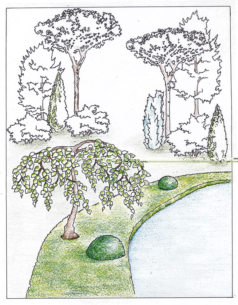 Глянцевый лес