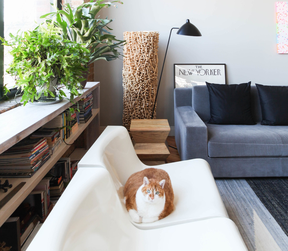 Living room - living room idea in Chicago