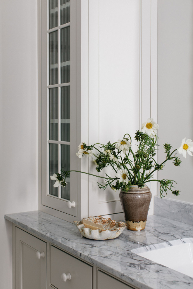 Transitional home design photo in Chicago