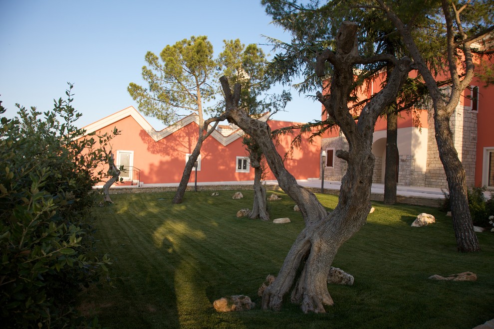 Idee per un giardino mediterraneo
