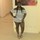 Shequan Boyce's profile image