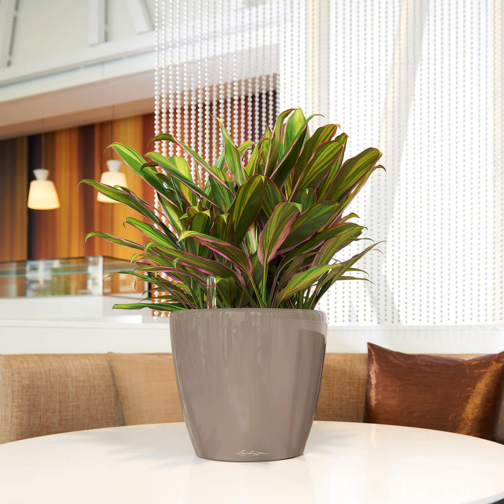 Неподвласные времени