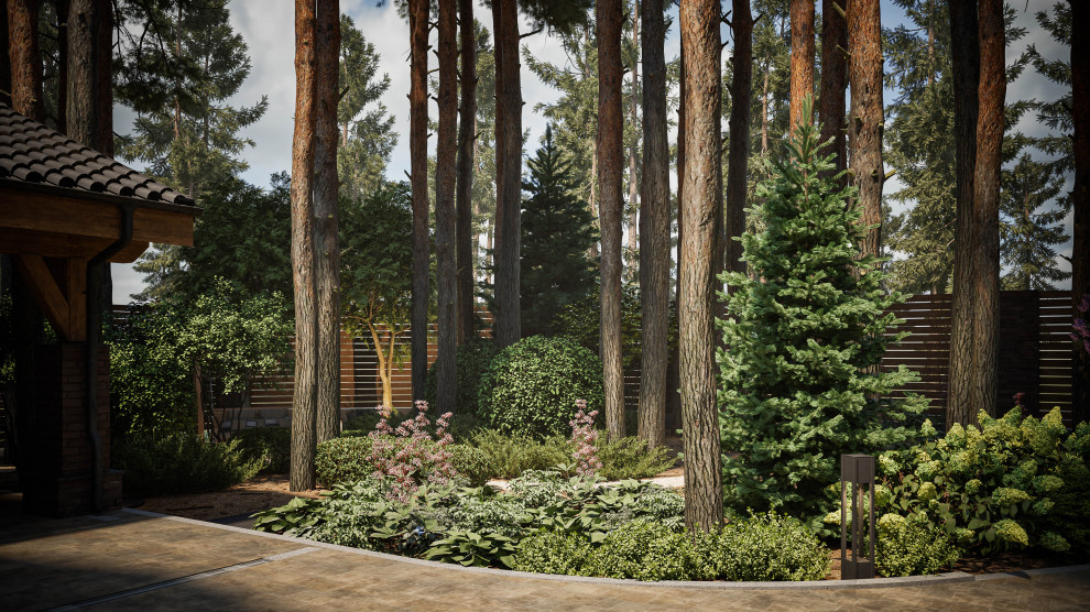 Дыханье леса