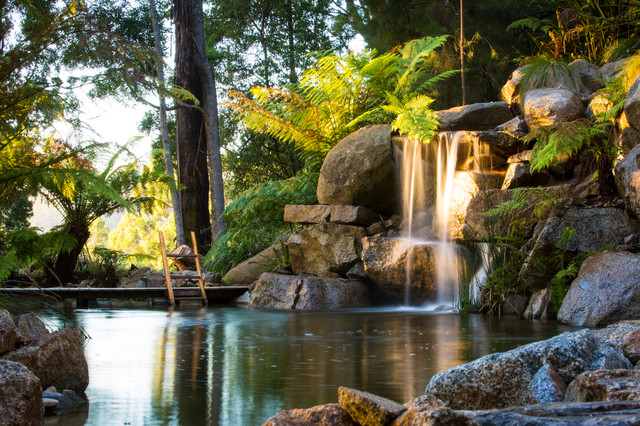 Natural Pools pool
