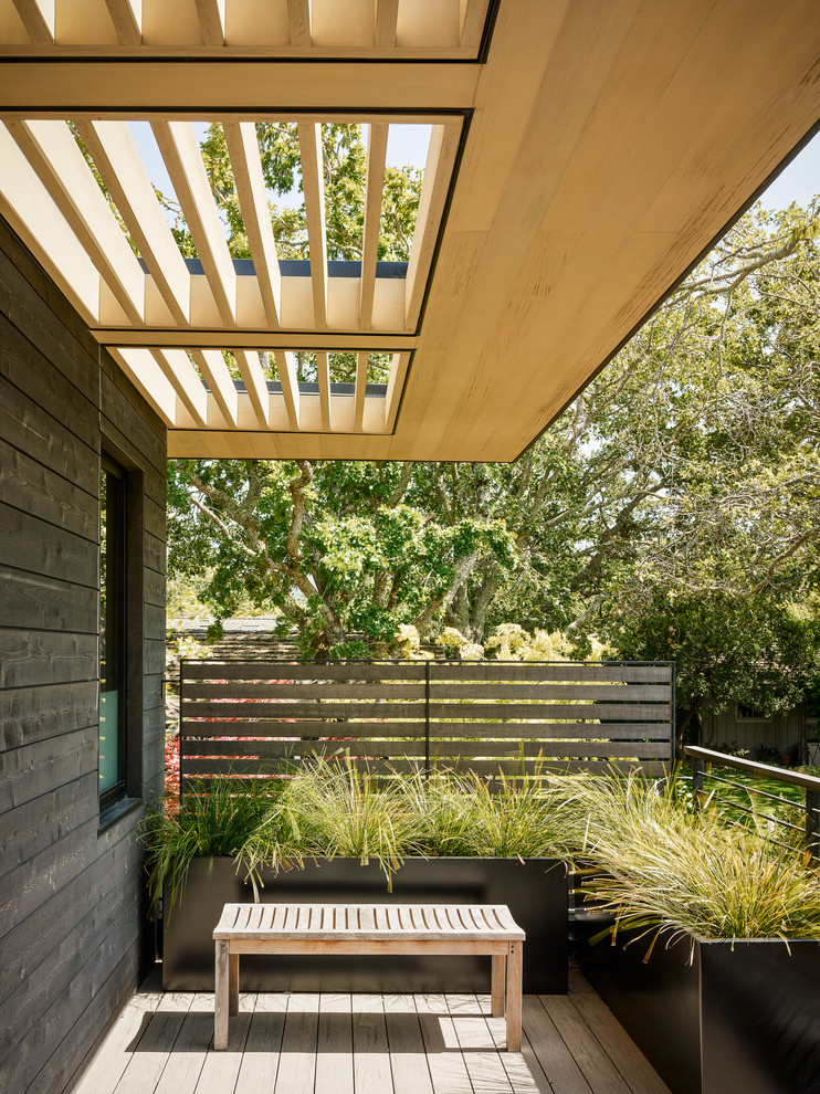 This is an example of a modern deck in San Francisco with a container garden.